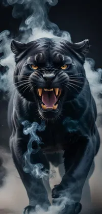 black panther wallpaper